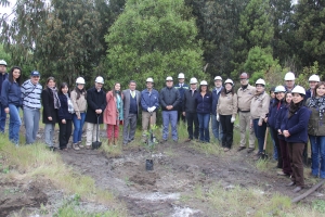 T&eacute;rmino Proyecto Reforestaci&oacute;n Humedal Huachipato