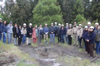 T&eacute;rmino Proyecto Reforestaci&oacute;n Humedal Huachipato