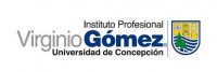 Instituto Profesional Virginio G&oacute;mez